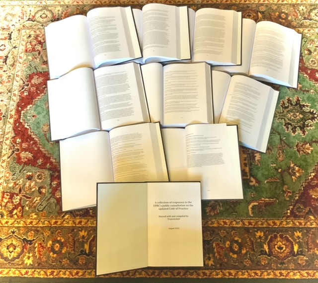 Spread of pages from TransActual EHRC consultation doc